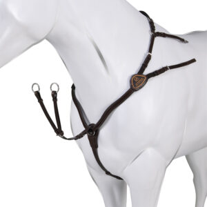 breastplate on horseback