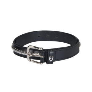 Equestro belt with clincher