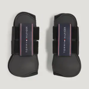 Tommy Hilfiger paratendini anteriori Champion