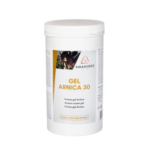 Gel Arnica 30 (1kg)