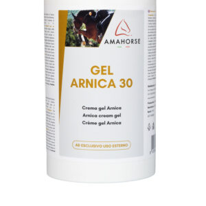 Gel arnica 30 (1kg) - immagine 2