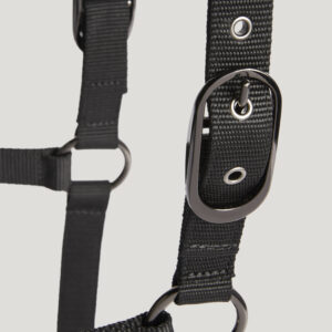Tommy Hilfiger set cavezza e lunghina Shine nera - Image 5